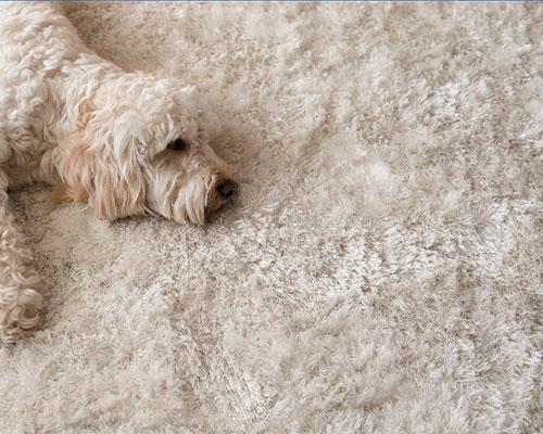 ΕΞΕΙΔΙΚΕΥΜΕΝΑ ΚΑΘΑΡΙΣΤΙΚΑ ΚΑΘΑΡΙΣΜΟΣ - ΠΕΡΙΠΟΙΗΣΗ ΔΑΠΕΔΩΝ 01